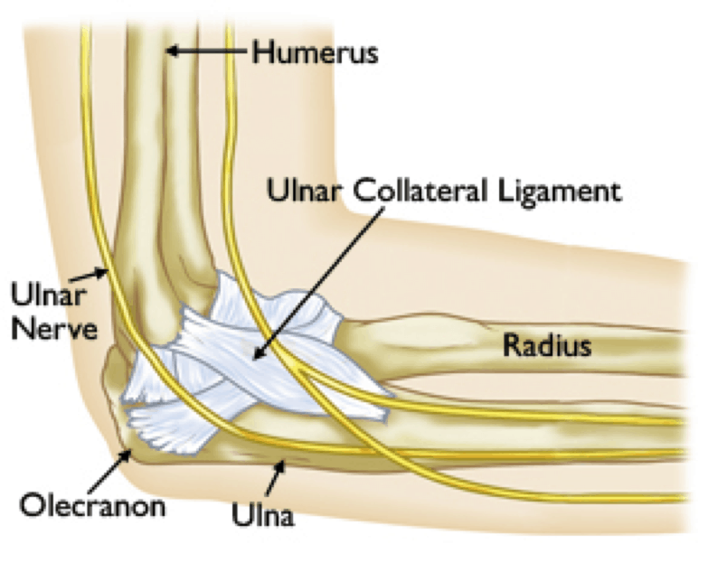 Avoiding Little League Elbow—An Injury Not Limited to Baseball - Franciscan  Missionaries of Our Lady Health System