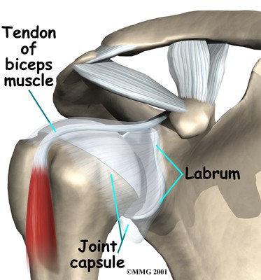 baseball arm injuries